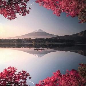 Meet your Posher, Tim